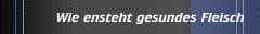 Wie ensteht gesundes Fleisch